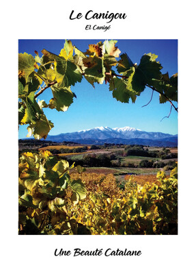 Affiche 30x40 cm Affiche 30x40 cm "Le Canigou et les Vignes"