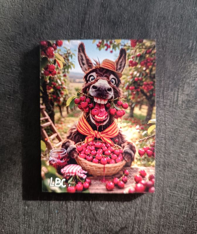 Magnet "Ruquet" adore les Cerises