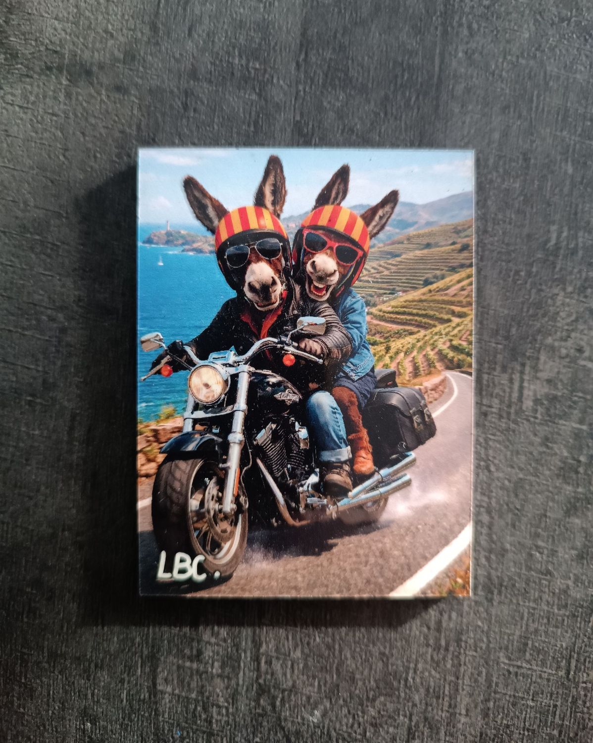 Magnet "Ruquet et Bunyete" Moto