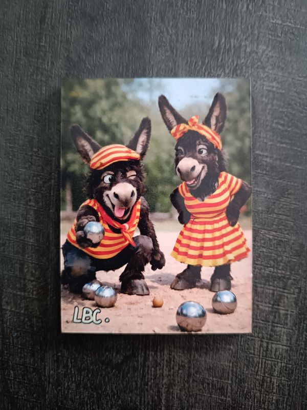 Magnet "Ruquet et Bunyete" Pétanque