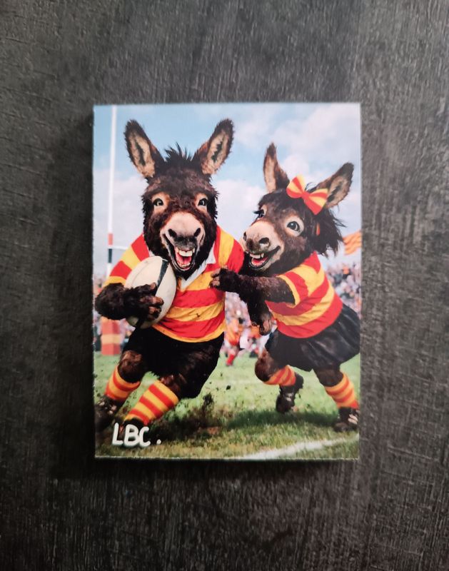 Magnet "Ruquet et Bunyete" Rugby