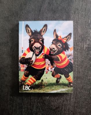 Magnet Magnet "Ruquet et Bunyete" Rugby