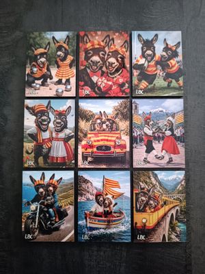 Collection 9 Magnets Collection 9 Magnets "Ruquet et Bunyete"