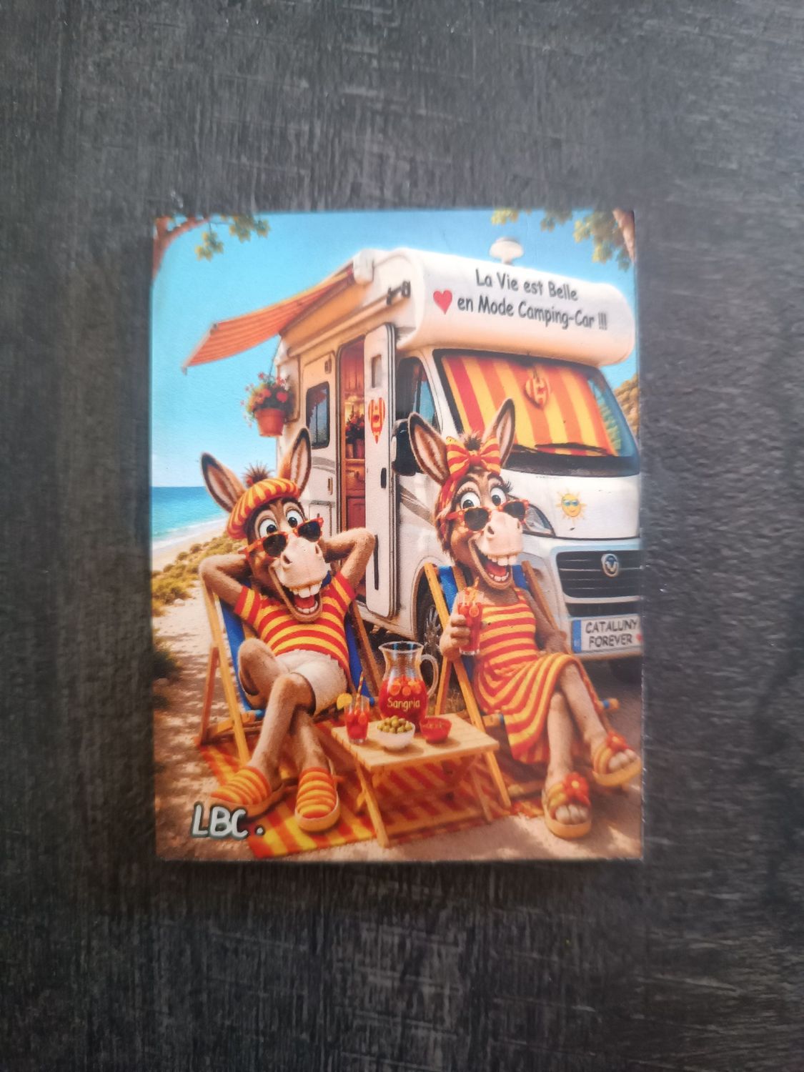 Magnet "Ruquet et Bunyete" en Camping-Car