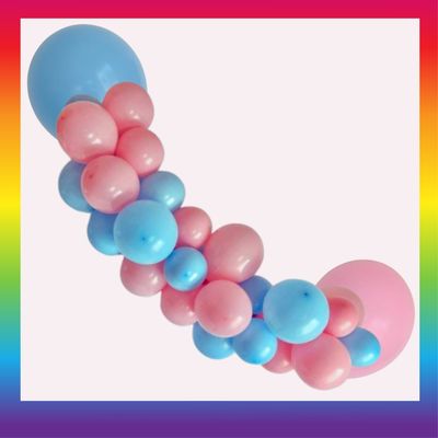 Pink N Blue - Gender Reveal -Organic Balloon Garland - per meter