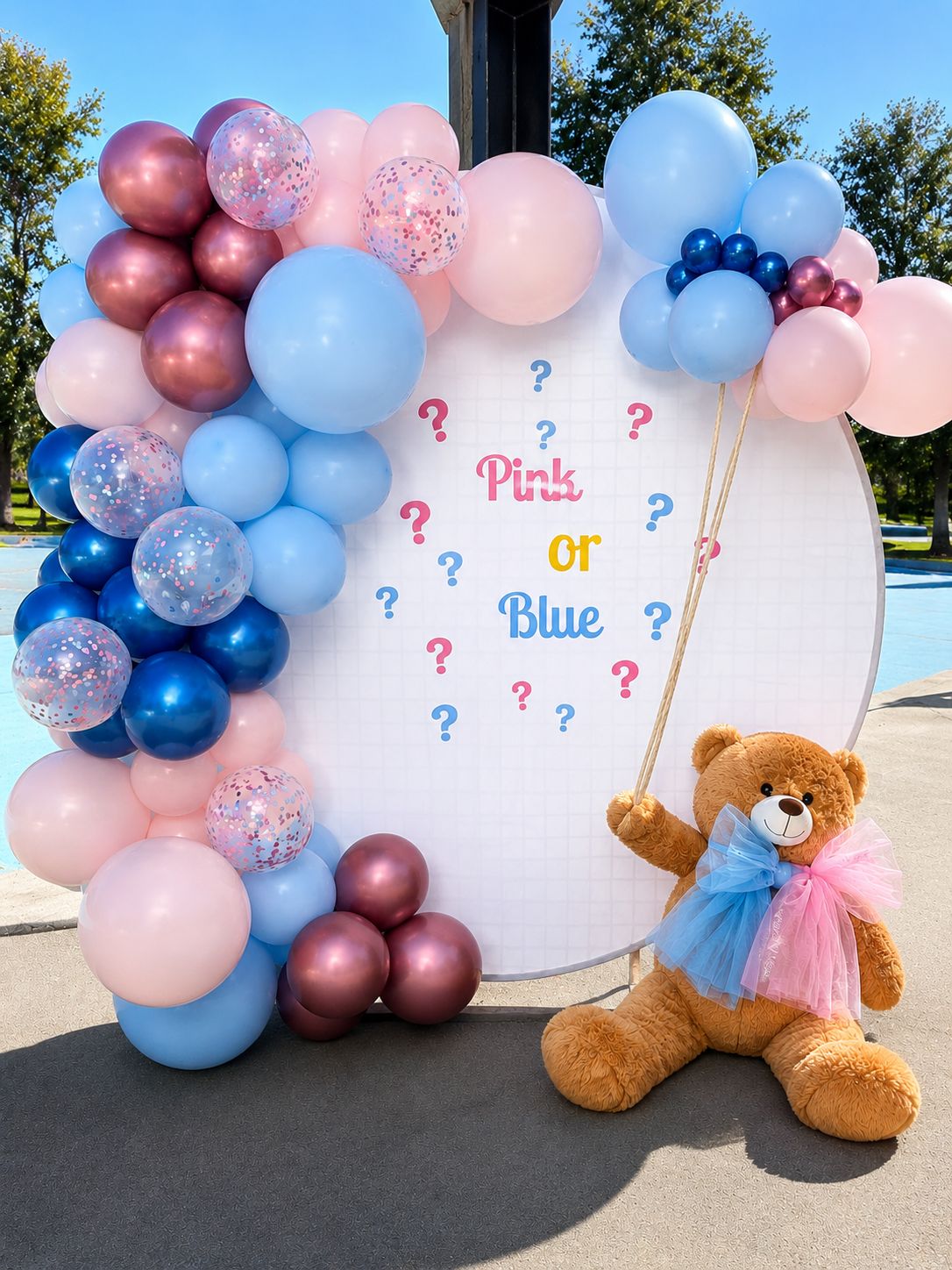 Teddy Bear gender Reveal