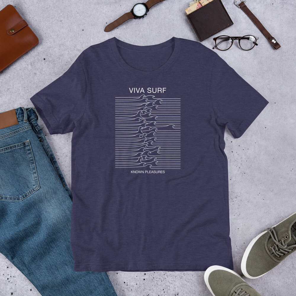 Known Pleasures // wave block t-shirt
