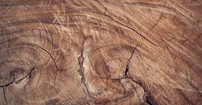 Venta de Terreno y Solares