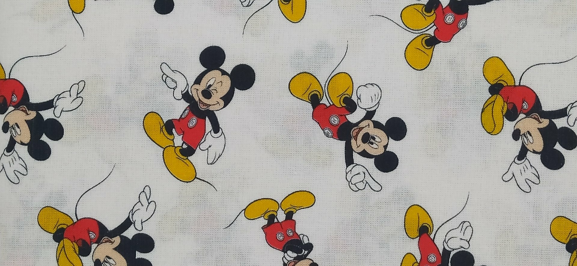 MICKY MOUSE1