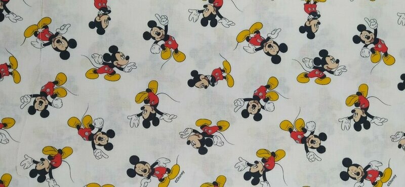 MICKY MOUSE1