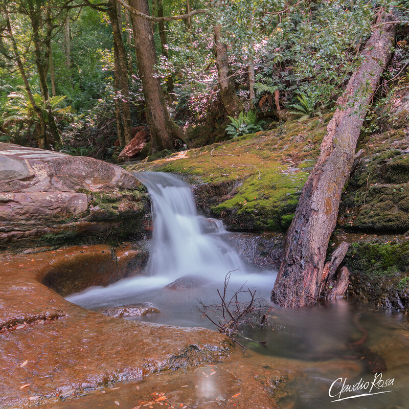 STREAM – Limited Edition. Contact for custom sizes