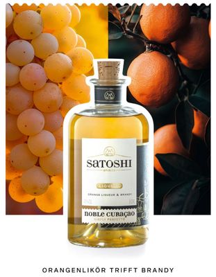 ORANGE LIQUEUR &amp; BRANDY NOBLE CURAÇAO