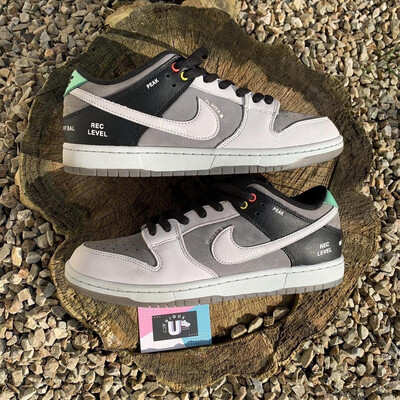 Nike Dunk Low Pro SB VX 1000 VNDS