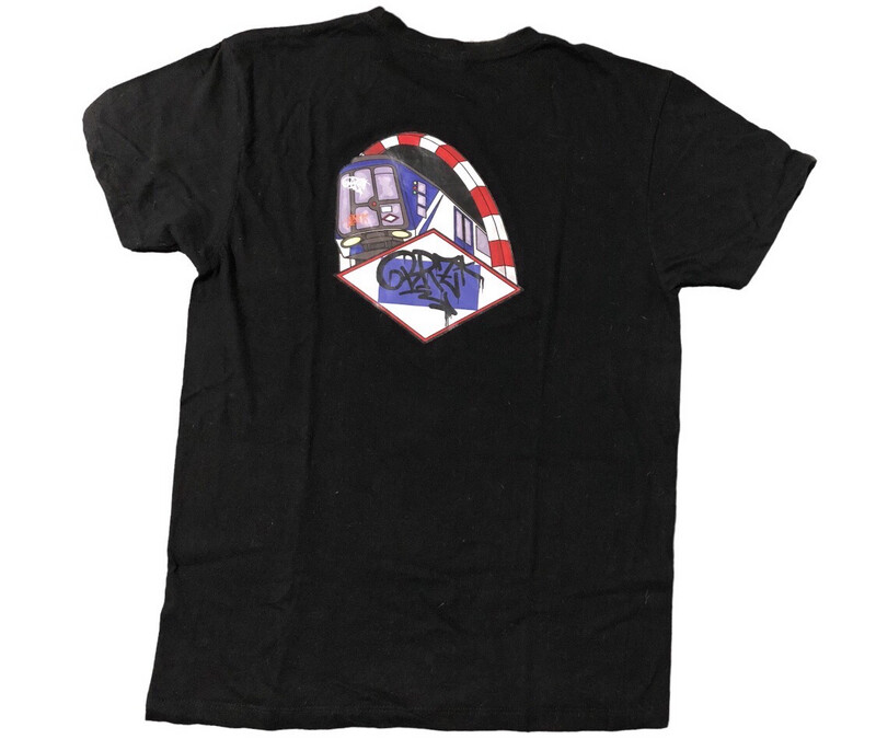 BRZ MADRIZ METRO TRAIN BRZ MADRIZ METRO TRAIN