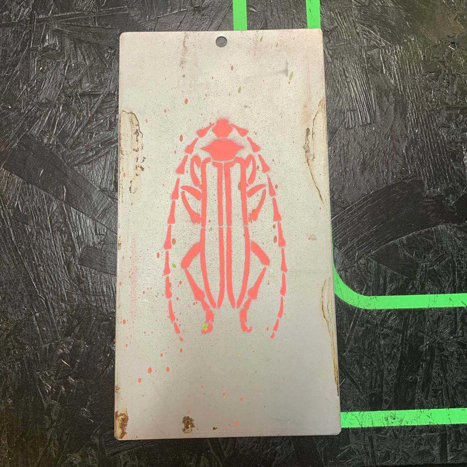 Scarab Beetle On Steel
