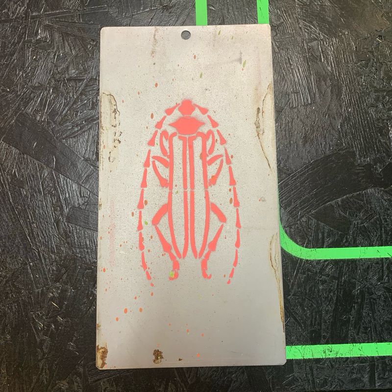 Scarab Beetle On Steel