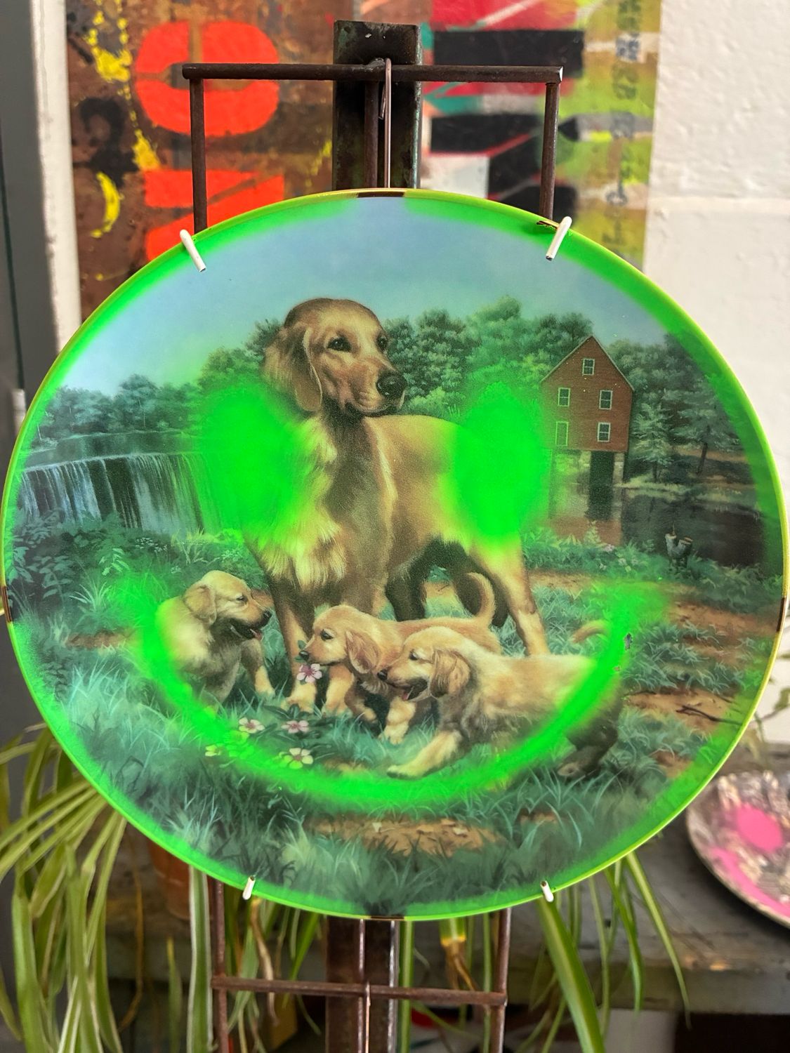 Ya Nans Plate Collection. (Neon Green Smile)