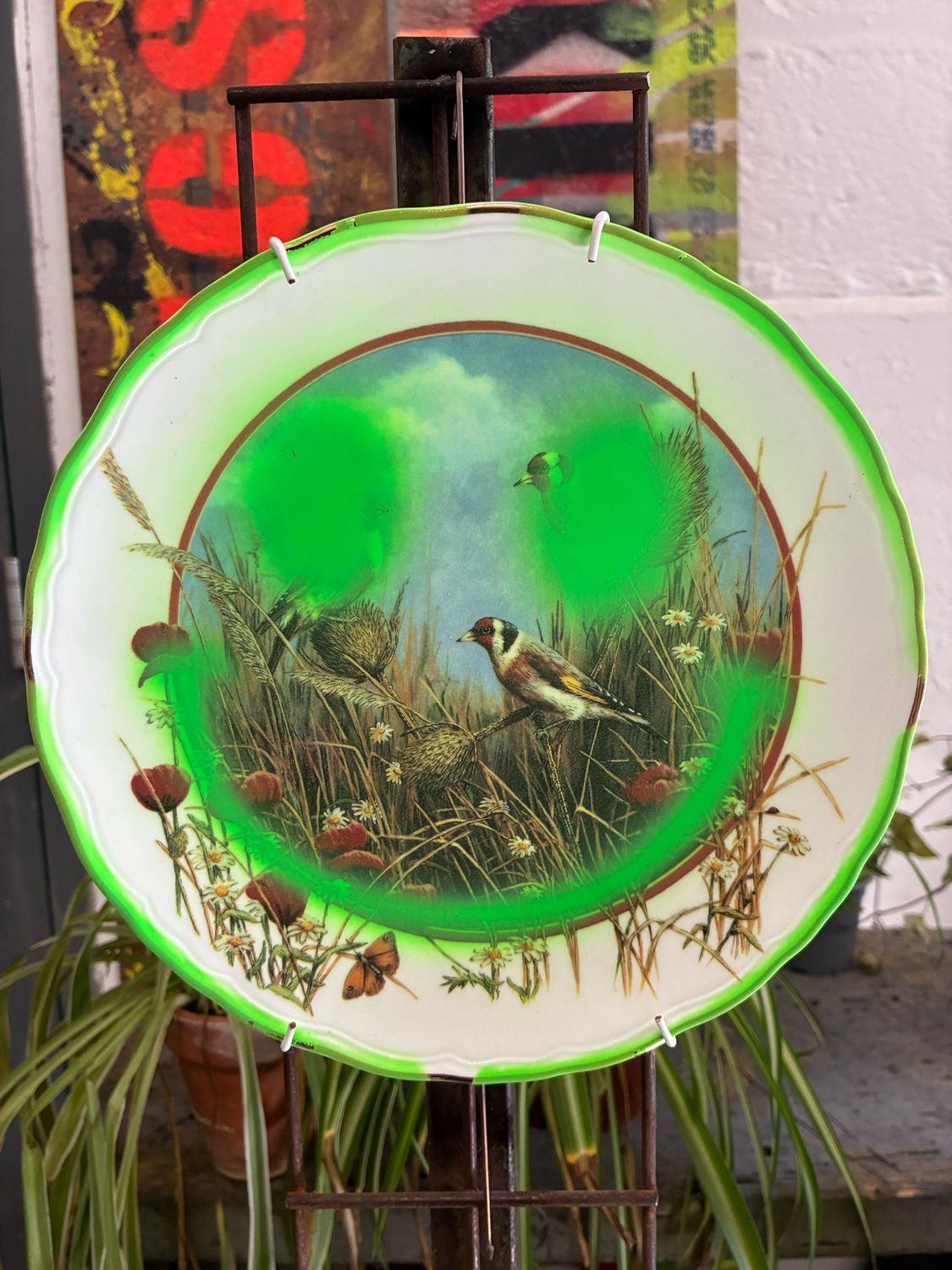 Ya Nans Plate Collection. (Neon Green Smile Goldfinch)