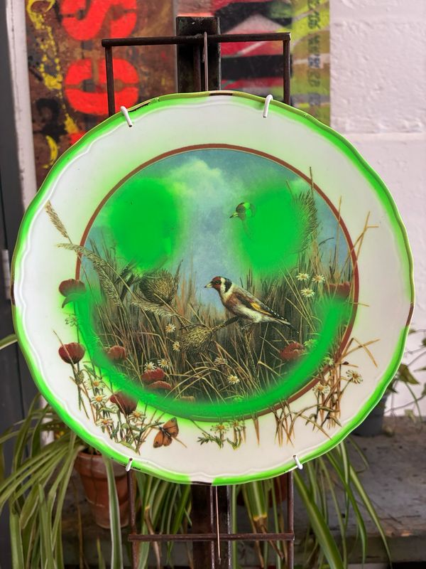 Ya Nans Plate Collection. (Neon Green Smile Goldfinch)