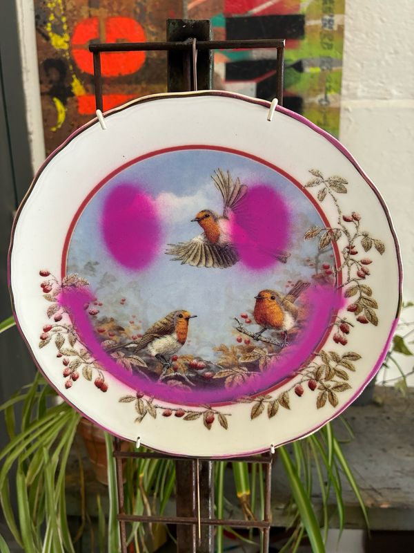 Ya Nans Plate Collection. (pink Smile Robins)