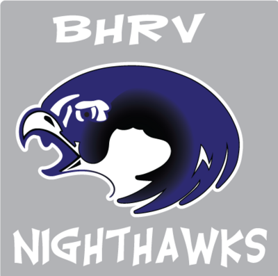 Nighthawk & Rocket car window decal