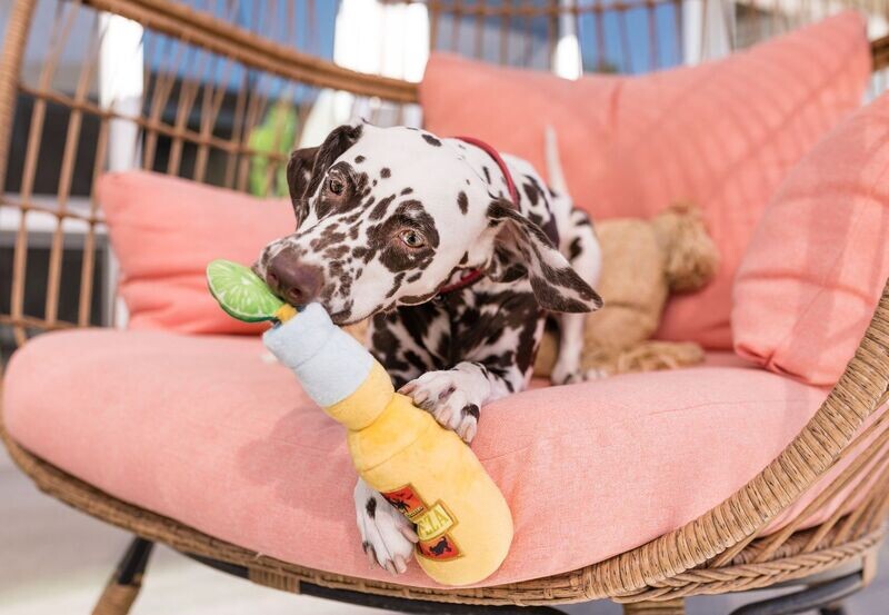 P.L.A.Y. Tropical Paradise Plush Toys - Cerveza