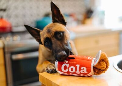 P.L.A.Y. Snack Attack Plush Toys -  Cola