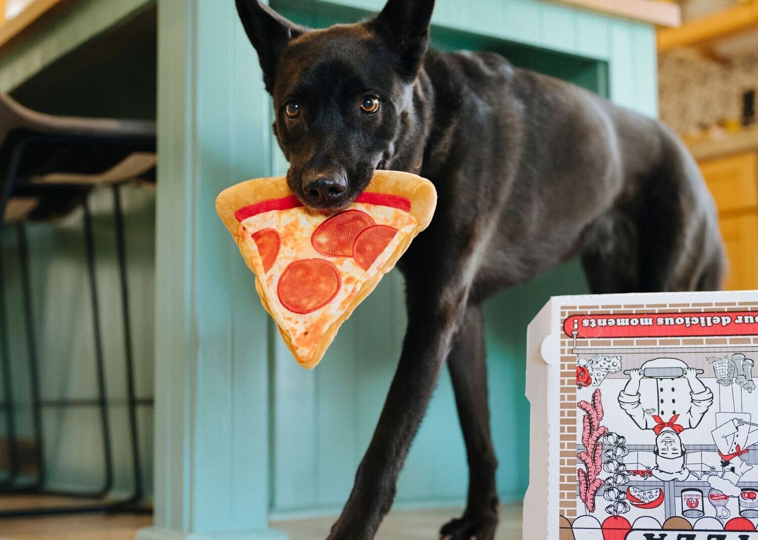P.L.A.Y. Snack Attack Plush Toys -  Pizza