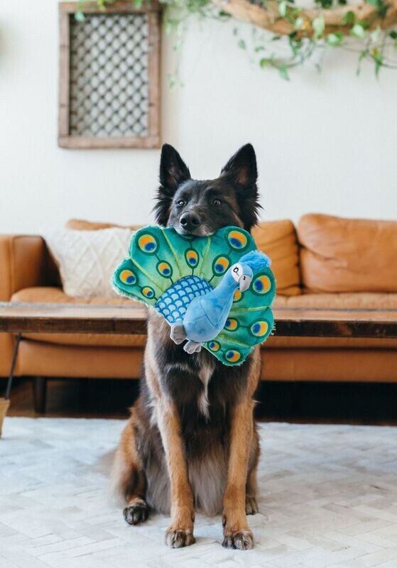 P.L.A.Y. Fetching Flock Plush Toys -  Pfau