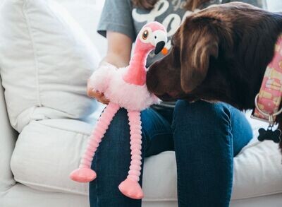 P.L.A.Y. Fetching Flock Plush Toys - Flamingo