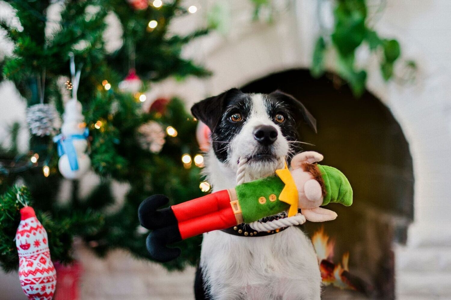 P.L.A.Y. Merry Woofmas Plush Toys -  Weihnachtself