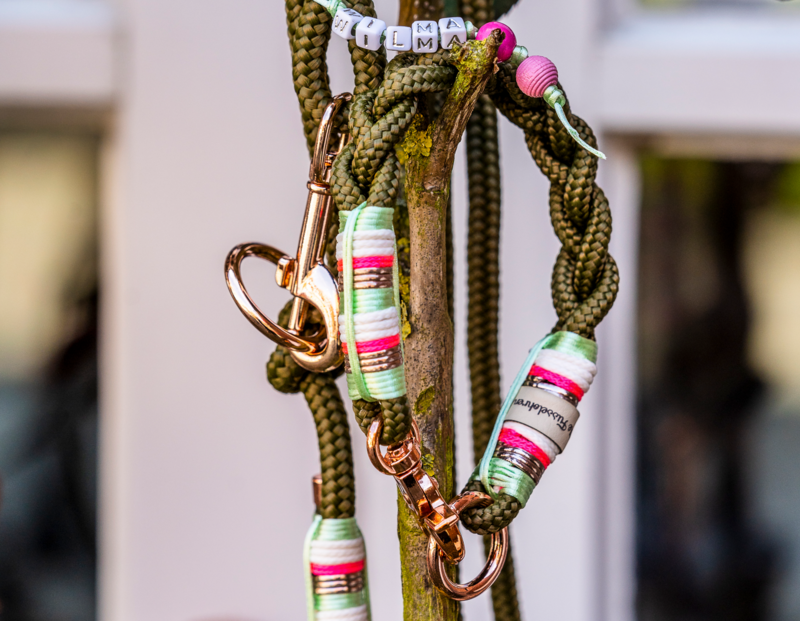 *Sofortkauf* Halsband HU 27cm Standard Tau *Sofortkauf* Halsband HU 27cm Standard Tau