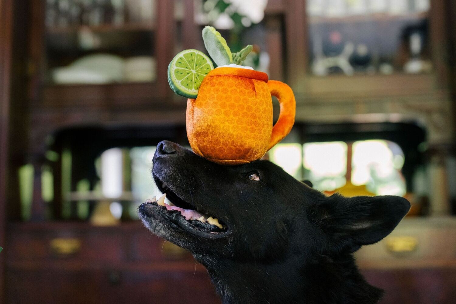 P.L.A.Y. Barktender Plush Toys - Moscow Mule