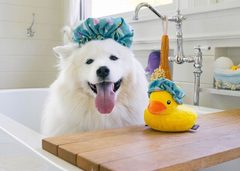 P.L.A.Y. Splish Splash Plush Toys - Duschhaube