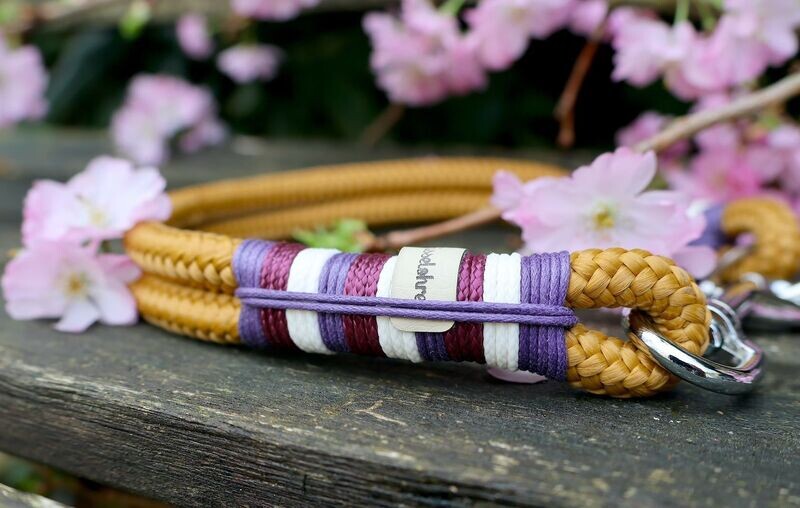 *Sofortkauf* Halsband HU 44cm Standard Tau *Sofortkauf* Halsband HU 44cm Standard Tau