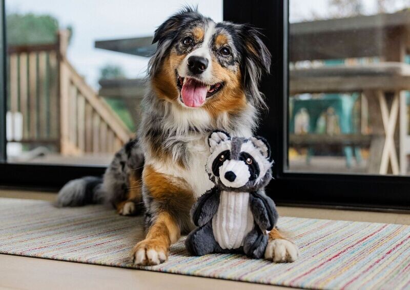 P.L.A.Y. Forest Friends Plush Toys - Waschbär