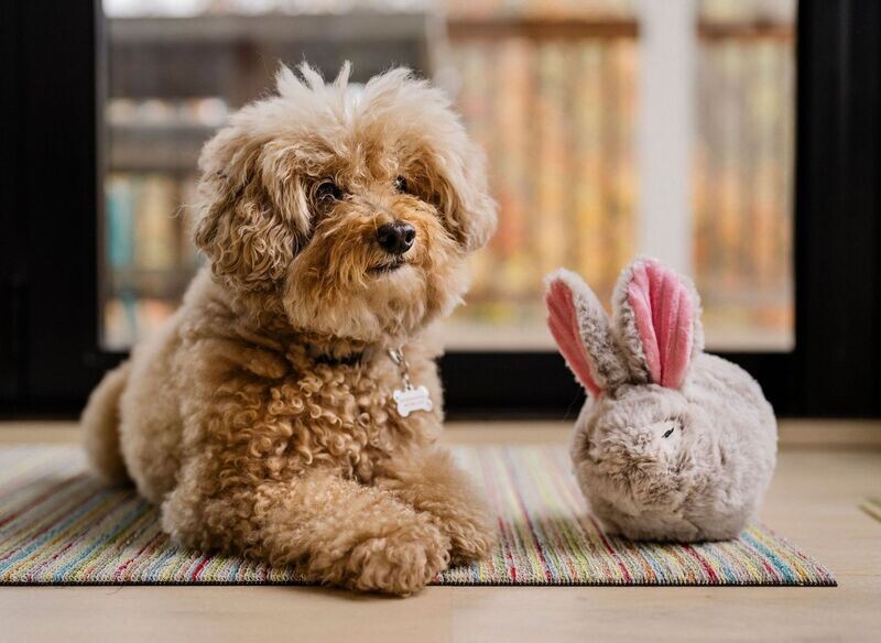 P.L.A.Y. Forest Friends Plush Toys - Hase