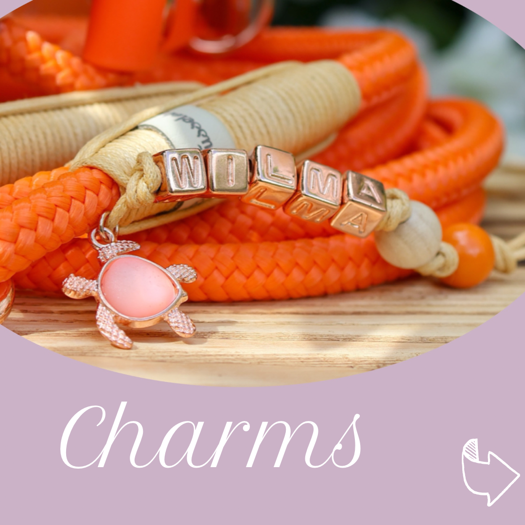 *Sofortkauf* Leine 6mm Standard Tau