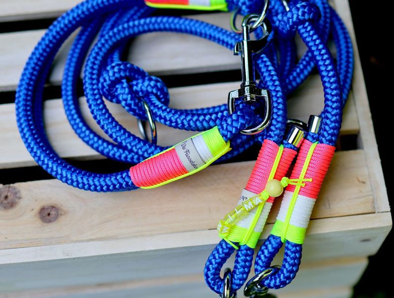 *Sofortkauf* Halsband HU 42cm Standard Tau *Sofortkauf* Halsband HU 42cm Standard Tau