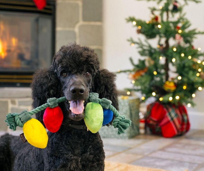 P.L.A.Y. Home for the Holidays Plush Toys -  Lichterkette P.L.A.Y. Home for the Holidays Plush Toys -  Lichterkette