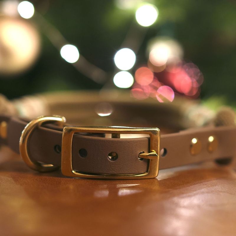 *Sofortkauf* Halsband HU 40-44cm Premium Tau *Sofortkauf* Halsband HU 40-44cm Premium Tau
