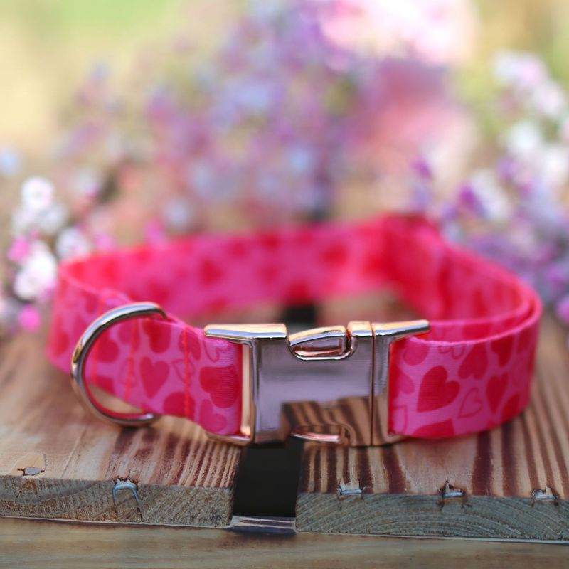 Halsband aus Gurtband Design Mimi