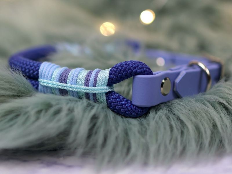 *Sofortkauf* Halsband HU 26-30cm Premium Tau *Sofortkauf* Halsband HU 26-30cm Premium Tau