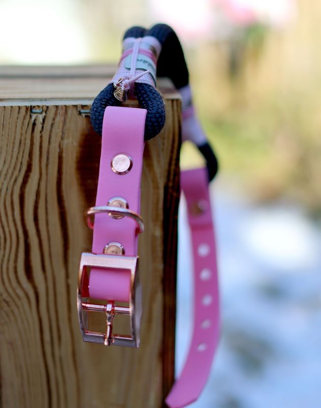 *Sofortkauf* Halsband HU 28-33cm Premium Tau *Sofortkauf* Halsband HU 28-33cm Premium Tau