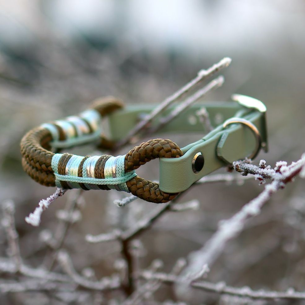 *Sofortkauf* Halsband HU 24-28cm Standard Tau