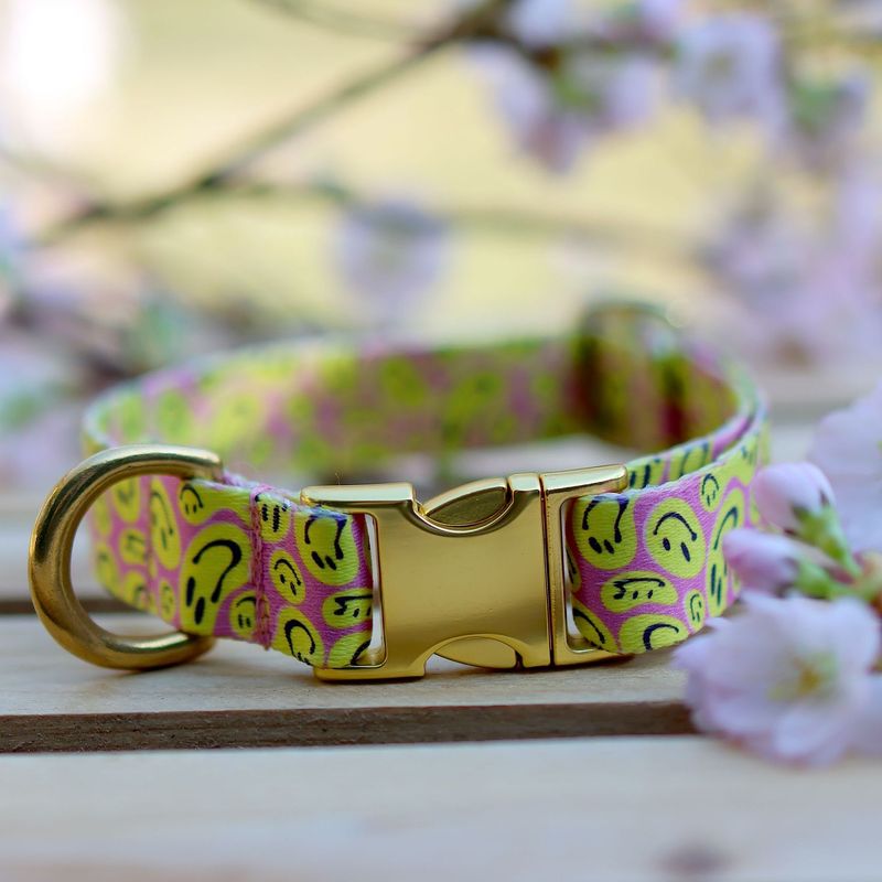 Halsband aus Gurtband Design Laika