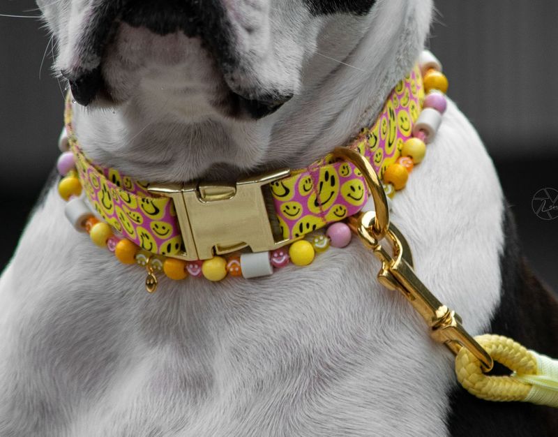 Halsband aus Gurtband Design Laika
