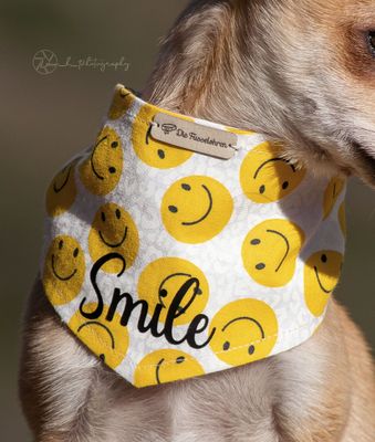 *SMILE!* Wendehalstuch