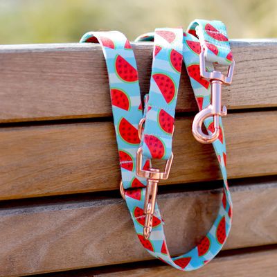 Leine aus Gurtband Design Kiddo Leine aus Gurtband Design Kiddo