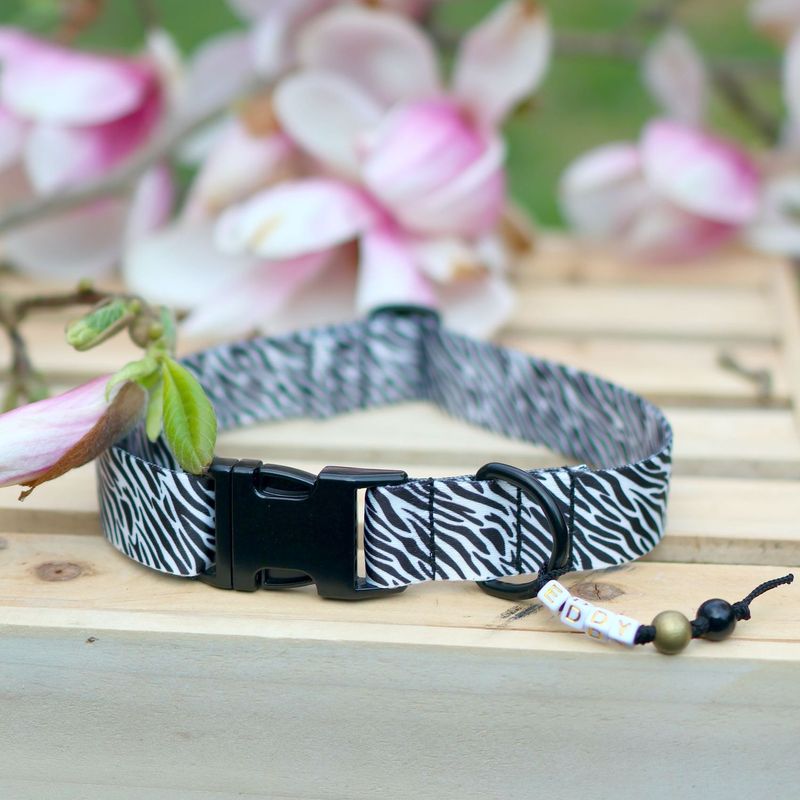 Halsband aus Gurtband Design Louie